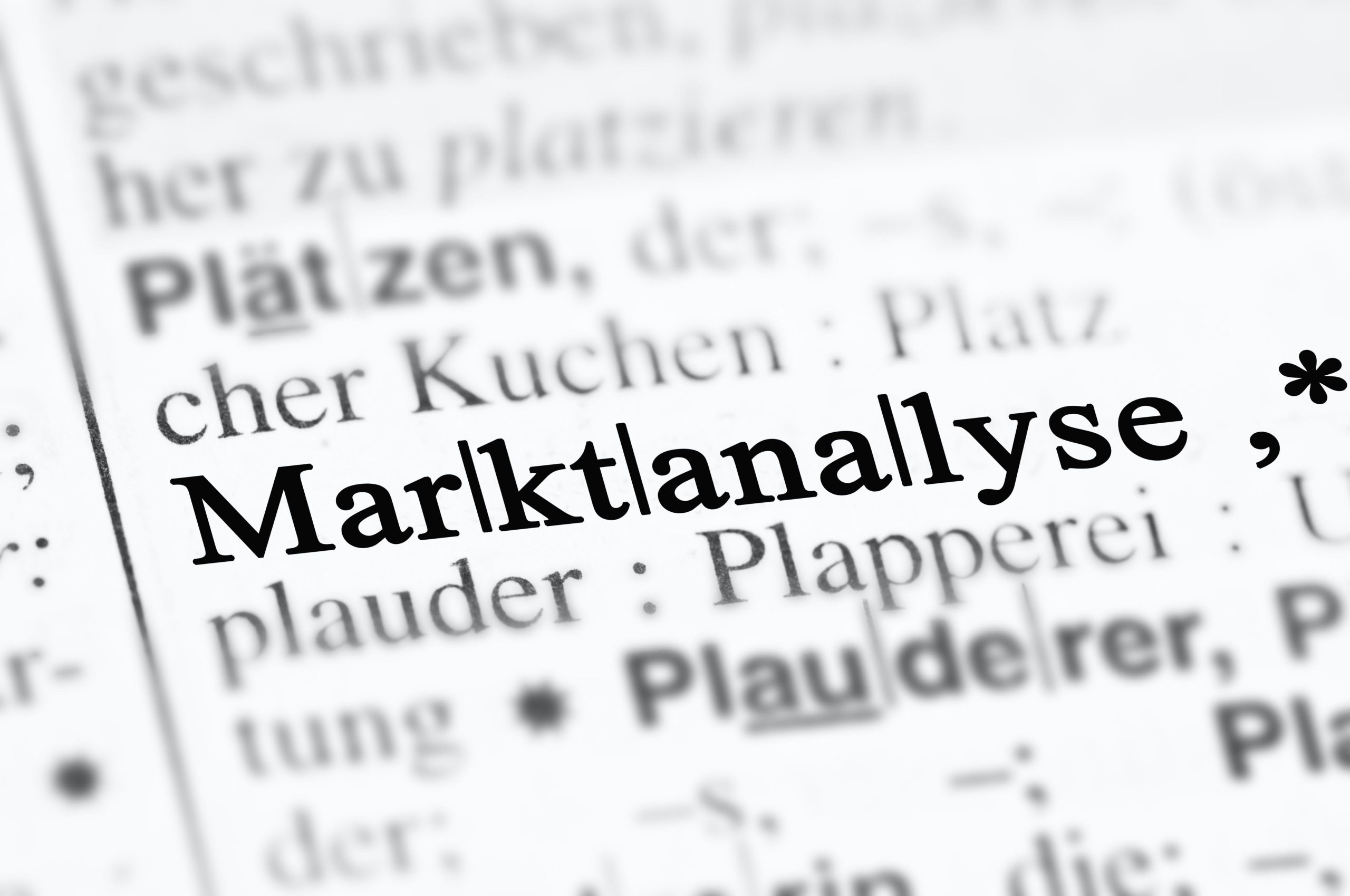 Marktanalyse Wörterbuch